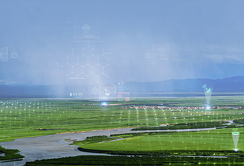 ���μ������